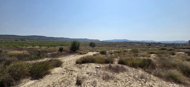 Bouwgrond te koop in San Miguel de Salinas - € 360.000 (Ref: 9235442)