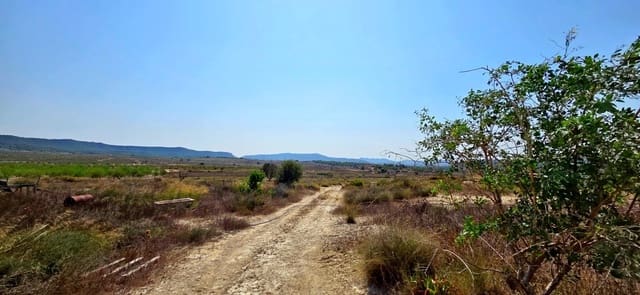 Bouwgrond te koop in San Miguel de Salinas - € 360.000 (Ref: 9235442)