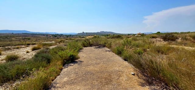 Bouwgrond te koop in San Miguel de Salinas - € 360.000 (Ref: 9235442)