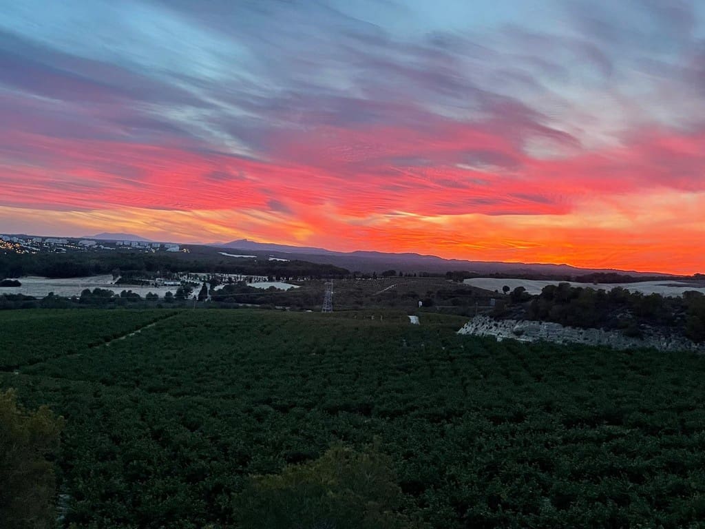 2 bedroom Apartment for sale in San Miguel de Salinas - € 210,000 (Ref: 9807765)