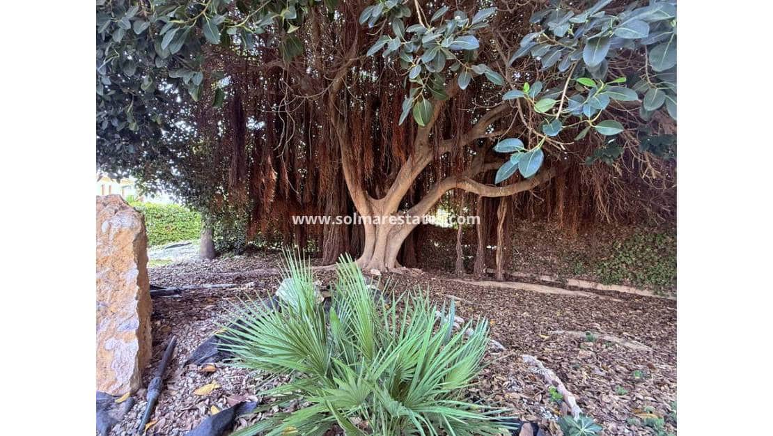 2 Zimmer Reihenhaus zu verkaufen in La Florida mit Pool Garage - 189.900 € (Ref: 10113270)