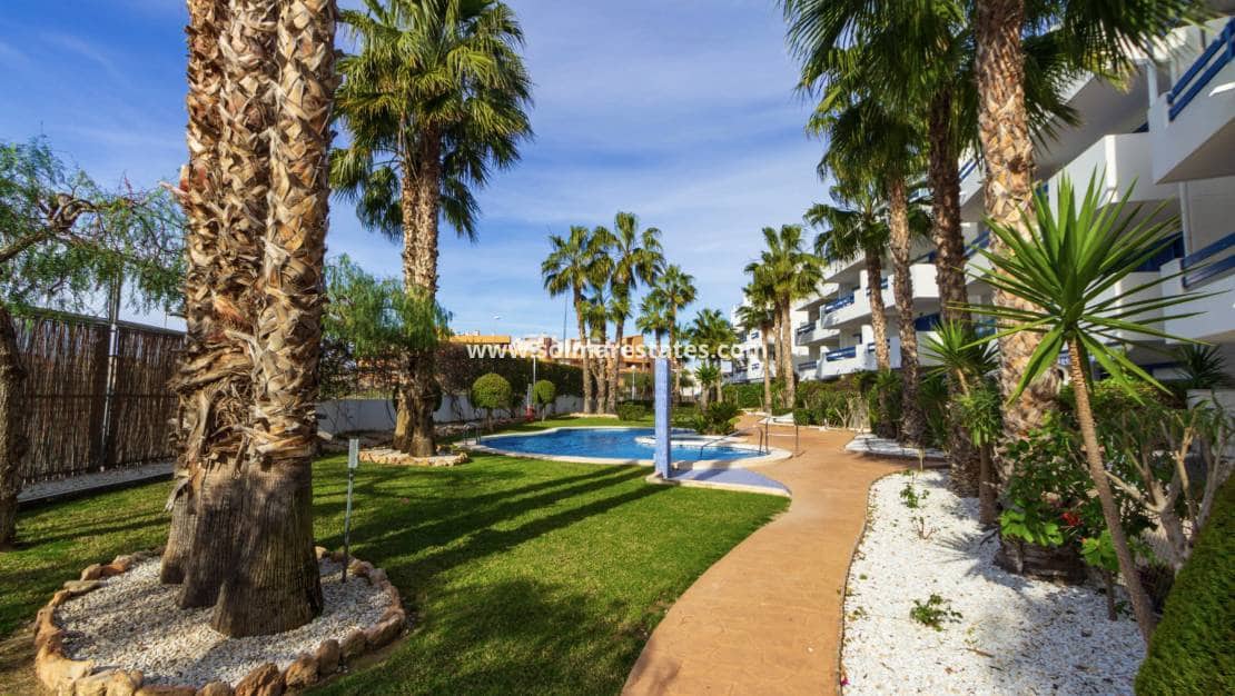 2 soveværelse Lejlighed til salg i Playa Flamenca med swimmingpool garage - € 239.000 (Ref: 10165432)