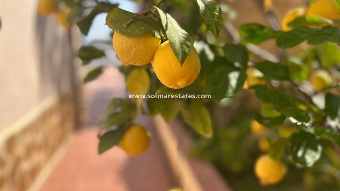 3 Zimmer Villa zu verkaufen in Algorfa mit Pool - 599.990 € (Ref: 9097383)