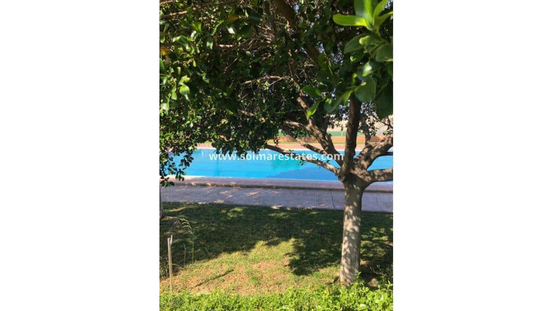 3 soveværelse Semi-Rækkehus til salg i San Miguel de Salinas - € 127.500 (Ref: 9186003)