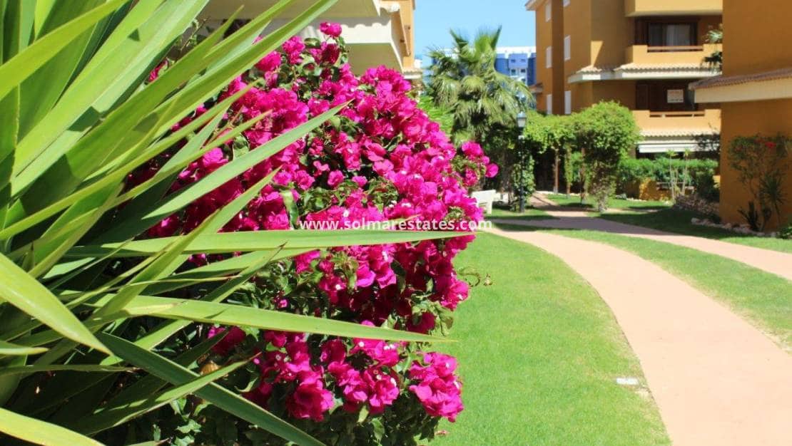 2 bedroom Apartment for sale in Punta Prima with pool - € 330,000 (Ref: 9215805)