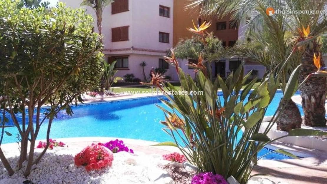 2 bedroom Apartment for sale in Punta Prima with pool - € 330,000 (Ref: 9215805)