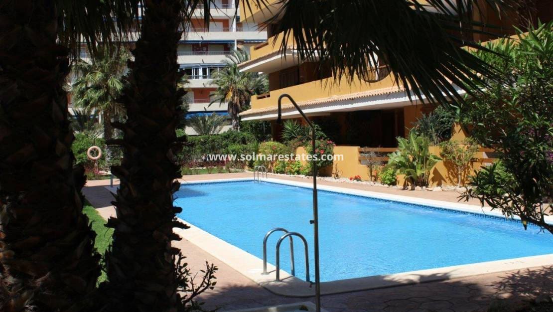 2 bedroom Apartment for sale in Punta Prima with pool - € 330,000 (Ref: 9215805)