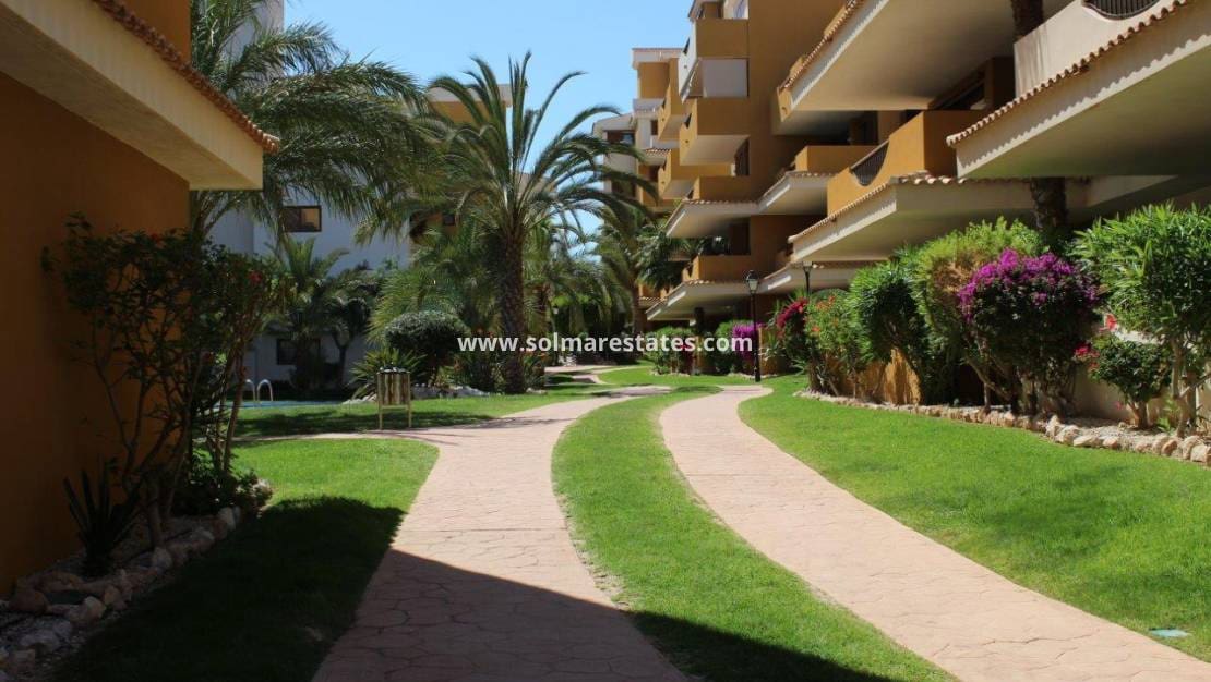 2 bedroom Apartment for sale in Punta Prima with pool - € 330,000 (Ref: 9215805)