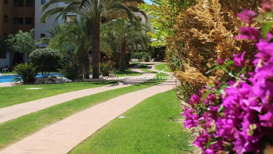 2 bedroom Apartment for sale in Punta Prima with pool - € 330,000 (Ref: 9215805)