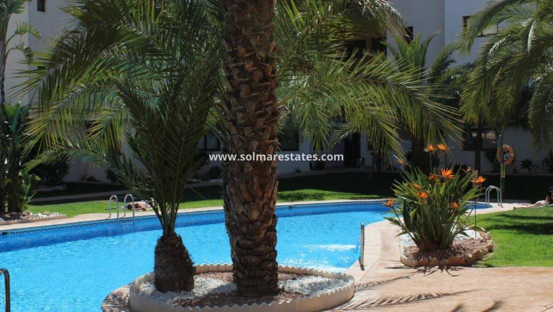2 bedroom Apartment for sale in Punta Prima with pool - € 330,000 (Ref: 9215805)