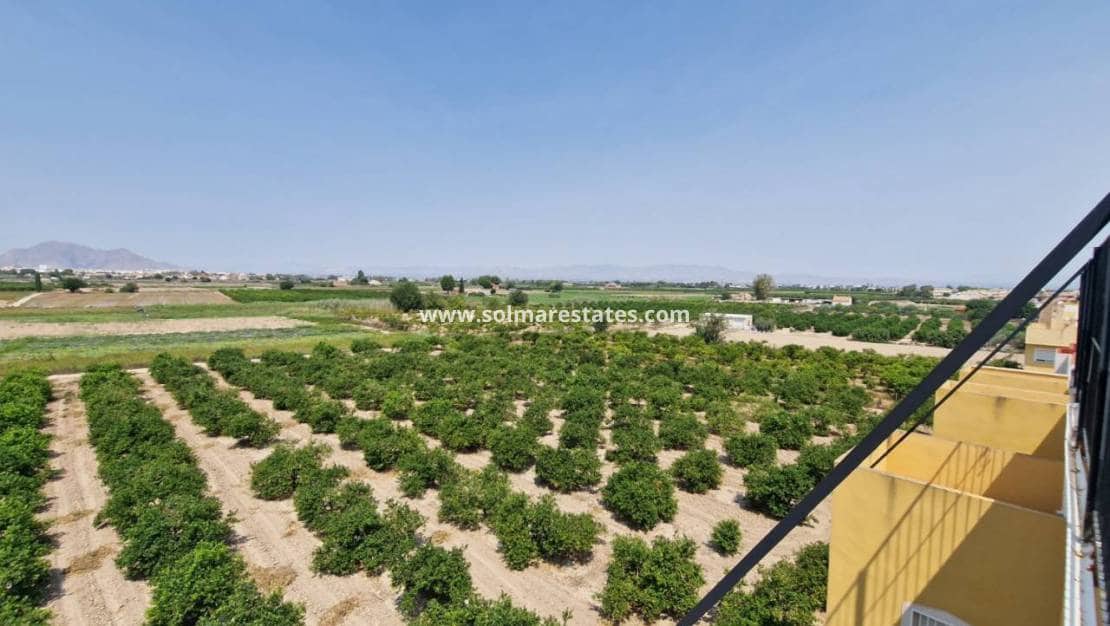 2 slaapkamer Appartement te koop in Daya Nueva met zwembad - € 125.000 (Ref: 9378117)