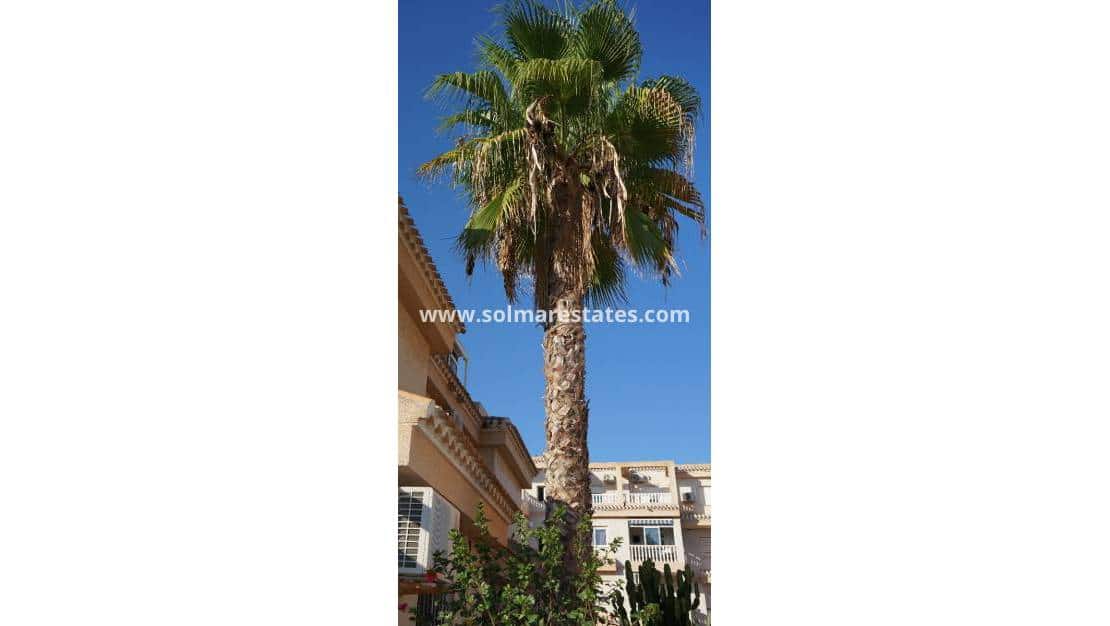 1 chambre Appartement à vendre à Playa Flamenca avec piscine - 125 000 € (Ref: 9438602)
