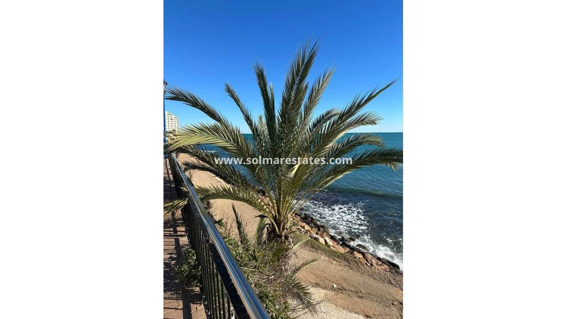 2 bedroom Apartment for sale in Punta Prima with pool - € 289,995 (Ref: 9491655)