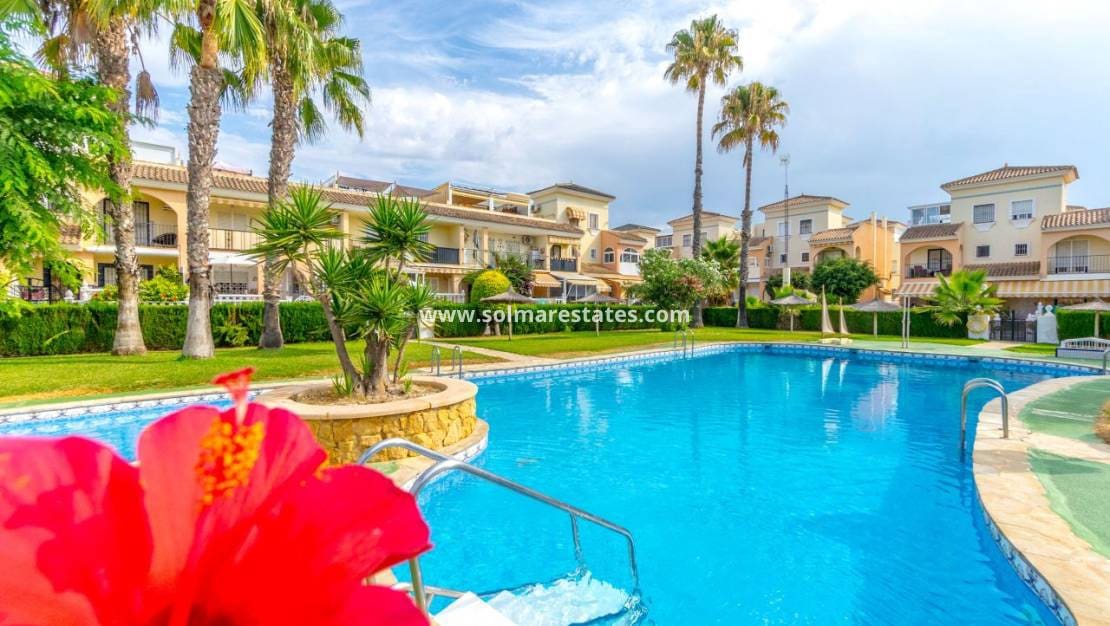 3 Zimmer Haus zu verkaufen in Playa Flamenca mit Pool - 285.000 € (Ref: 9517971)