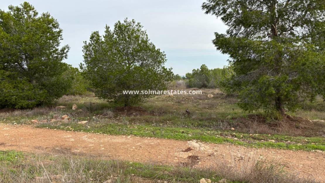 Apartamento de 2 habitaciones en La Siesta en venta con piscina - 120.000 € (Ref: 9521480)