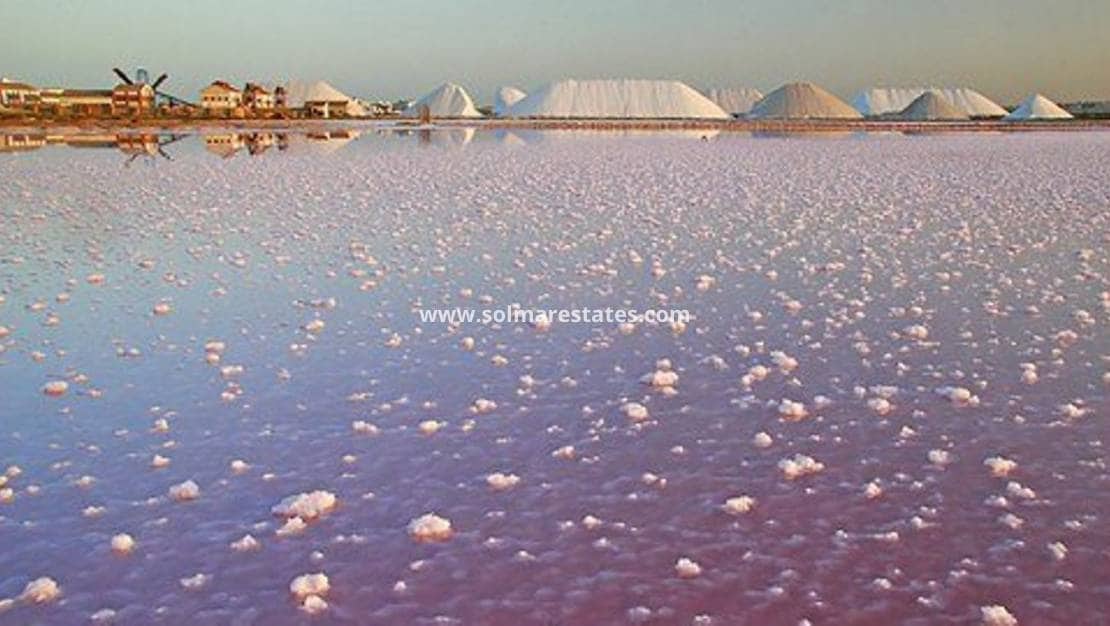 4 slaapkamer Halfvrijstaande villa te koop in Torre de la Horadada - € 272.000 (Ref: 9559473)