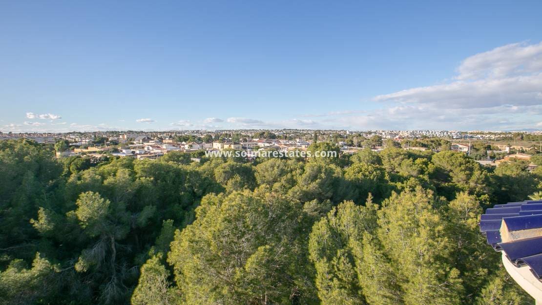 2 chambre Appartement à vendre à Cabo Roig avec piscine - 174 900 € (Ref: 9562556)