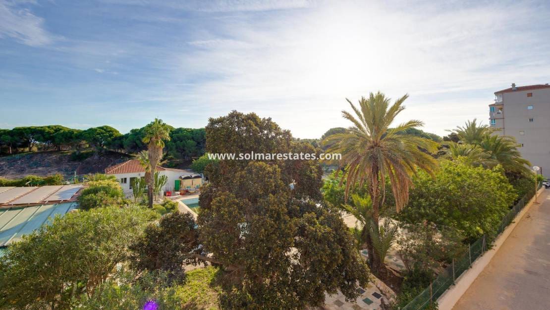 2 soverom Leilighet til salgs i Guardamar del Segura - € 155 000 (Ref: 9569938)