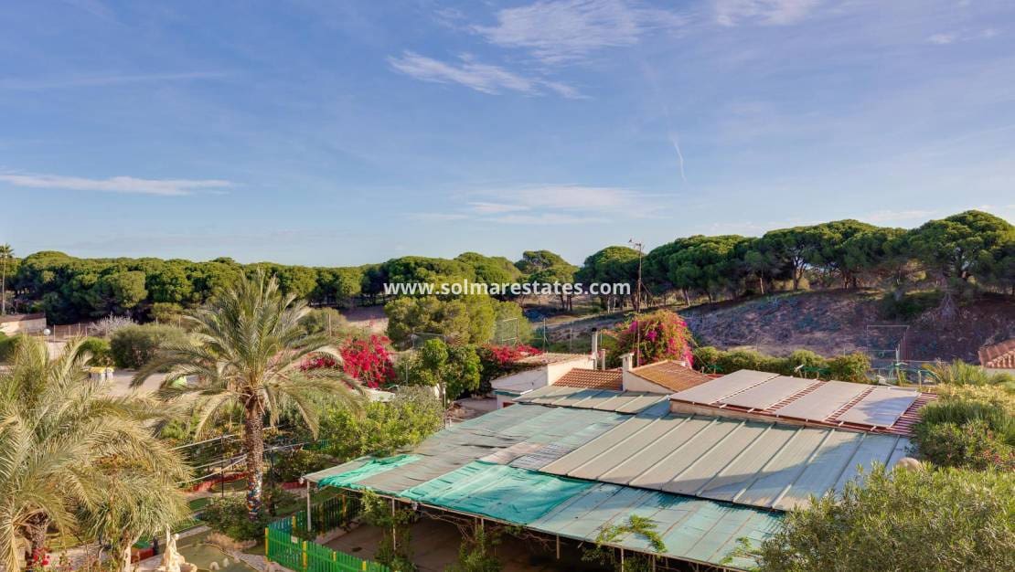 2 soverom Leilighet til salgs i Guardamar del Segura - € 155 000 (Ref: 9569938)