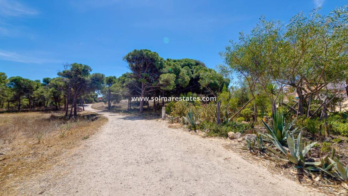 2 soverom Leilighet til salgs i Guardamar del Segura - € 155 000 (Ref: 9569938)