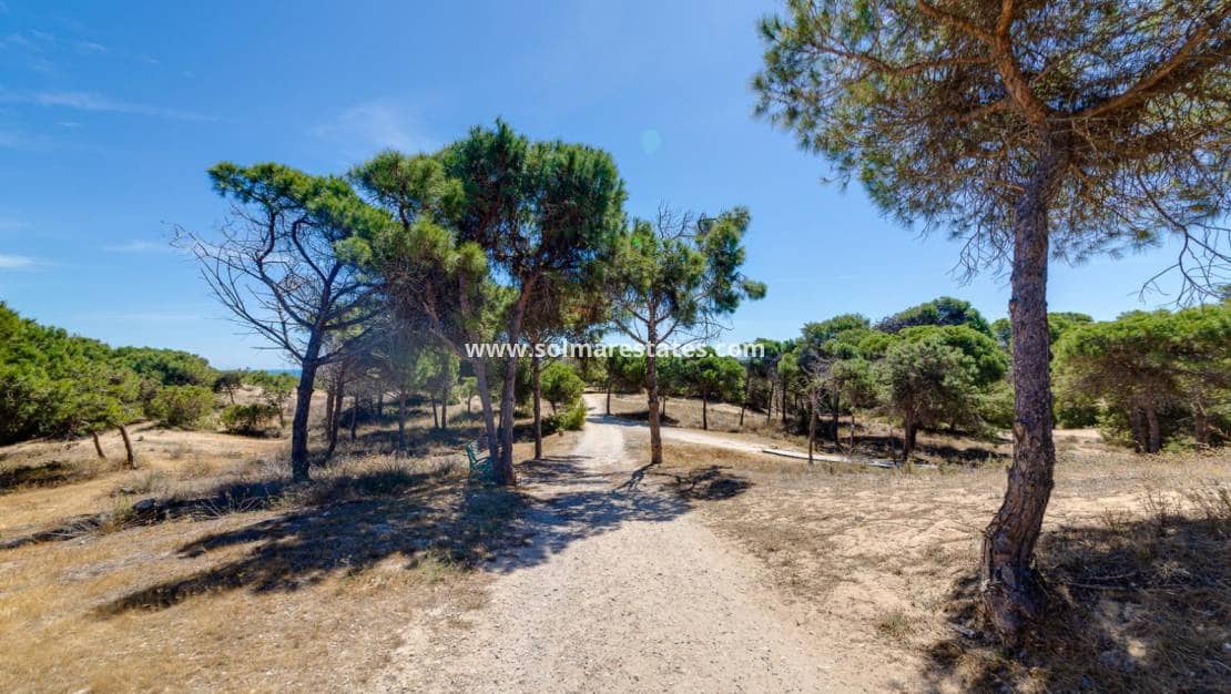 2 soverom Leilighet til salgs i Guardamar del Segura - € 155 000 (Ref: 9569938)