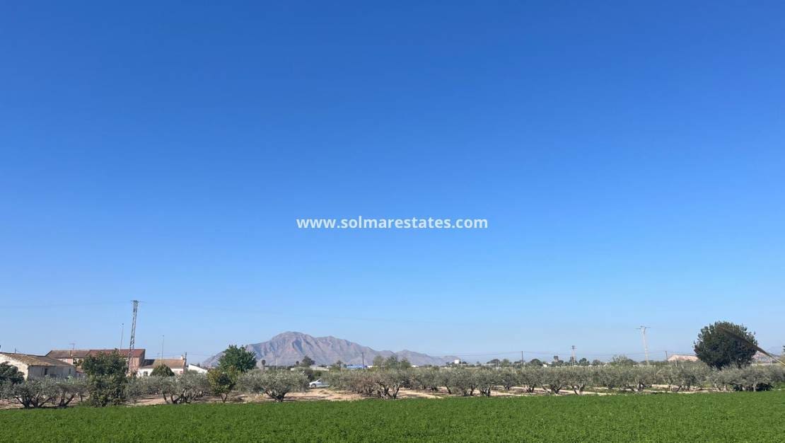 2 bedroom Townhouse for sale in Catral with pool - € 159,995 (Ref: 9635035)