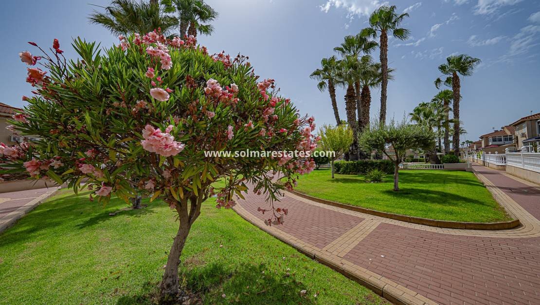 2 soverom Leilighet til salgs i Playa Flamenca med svømmebasseng - € 175 900 (Ref: 9650436)