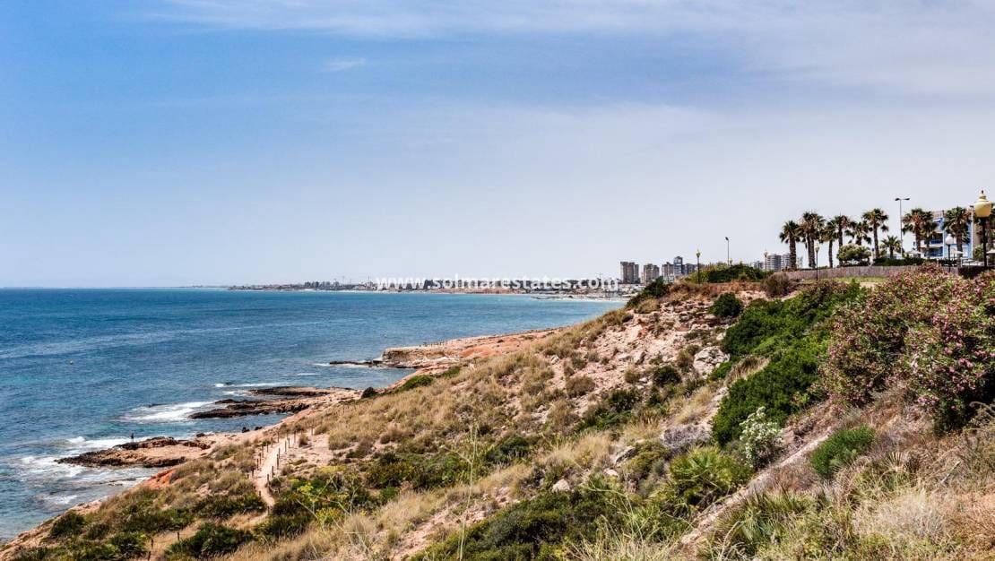 2 Zimmer Haus zu verkaufen in Cabo Roig mit Pool - 349.000 € (Ref: 9687329)