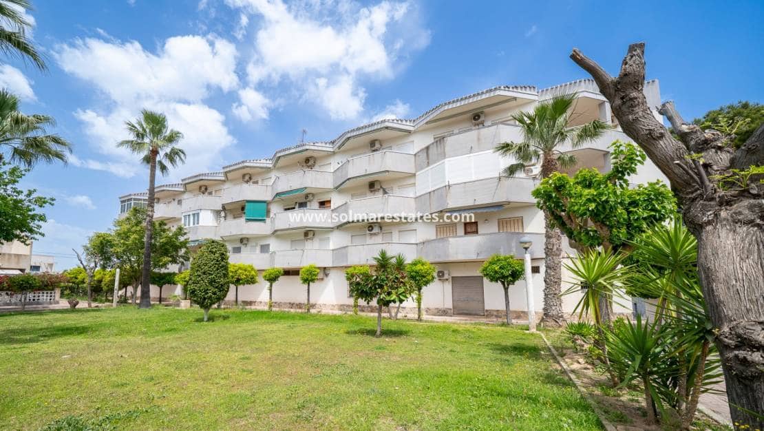 1 makuuhuone Huoneisto myytävänä paikassa Cabo Roig - 149 000 € (Ref: 9805412)