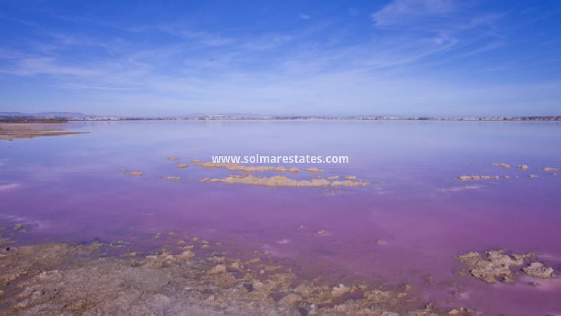 2 slaapkamer Villa te koop in Los Altos met zwembad - € 290.000 (Ref: 9805414)