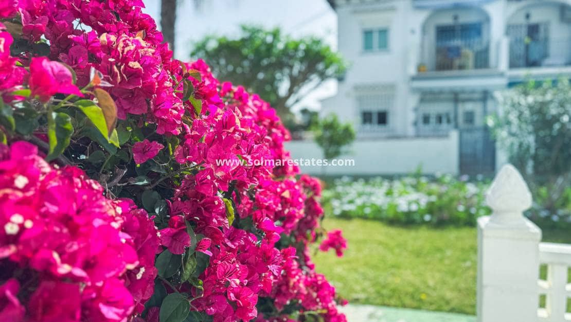 1 quarto Apartamento para venda em Los Balcones com piscina - 125 000 € (Ref: 9806962)