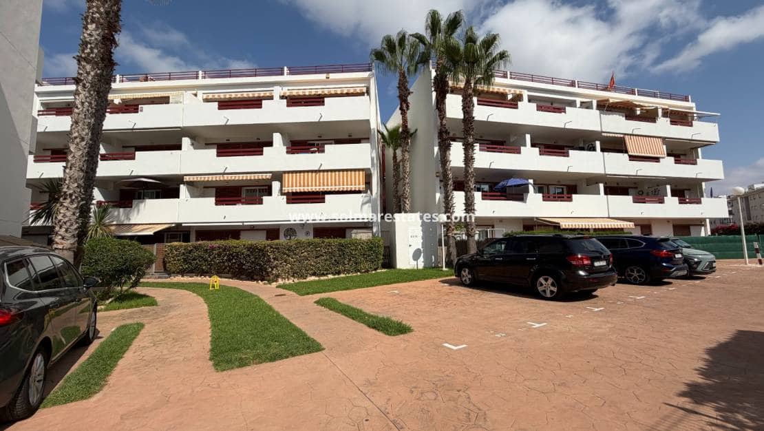 3 sypialnia Apartament na sprzedaż w Playa Flamenca z basenem - 259 900 € (Ref: 9997762)