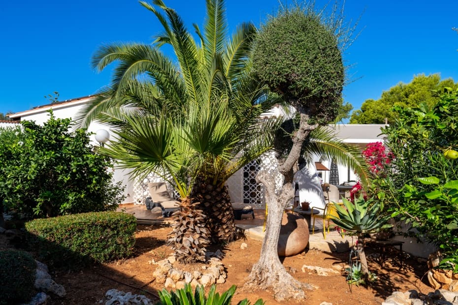 3 Zimmer Villa zu verkaufen in Cala Murada mit Pool Garage - 1.250.000 € (Ref: 10110900)