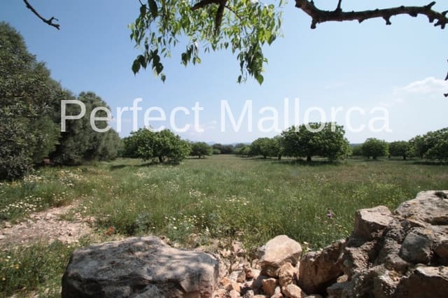 6 camera da letto Finca/Casa di Campagna in vendita in Vilafranca de Bonany con garage - 5.500.000 € (Rif: 2059029)