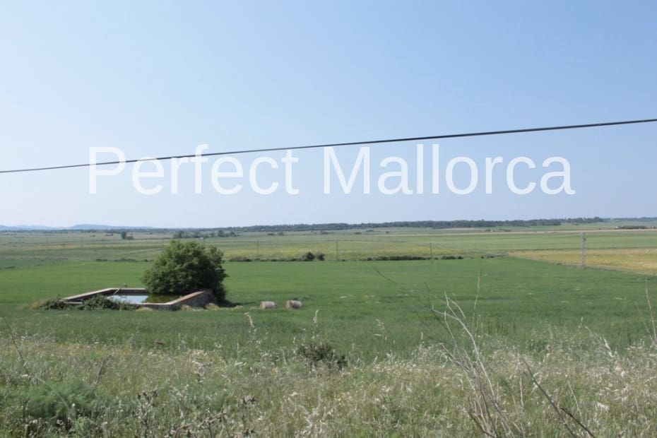 6 bedroom Finca/Country House for sale in Vilafranca de Bonany with garage - € 5,500,000 (Ref: 2059029)