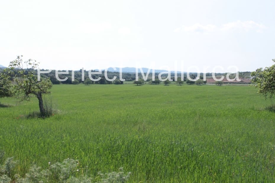 6 bedroom Finca/Country House for sale in Vilafranca de Bonany with garage - € 5,500,000 (Ref: 2059029)