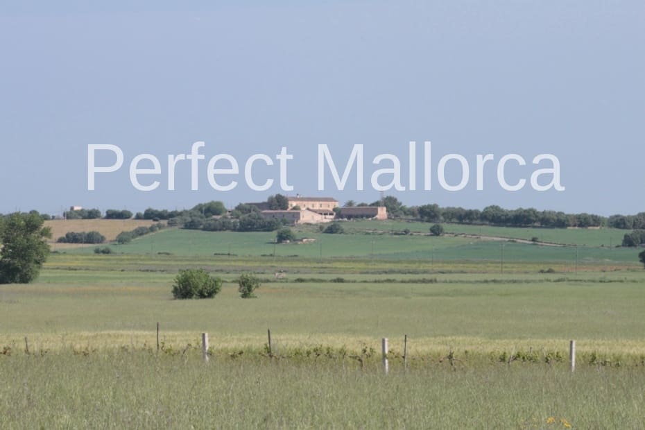 6 bedroom Finca/Country House for sale in Vilafranca de Bonany with garage - € 5,500,000 (Ref: 2059029)