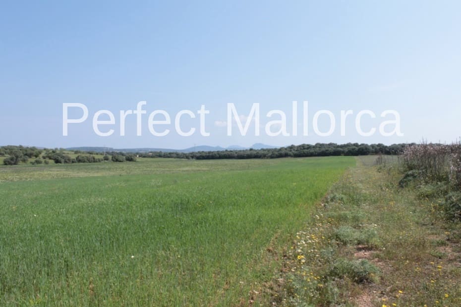 6 bedroom Finca/Country House for sale in Vilafranca de Bonany with garage - € 5,500,000 (Ref: 2059029)