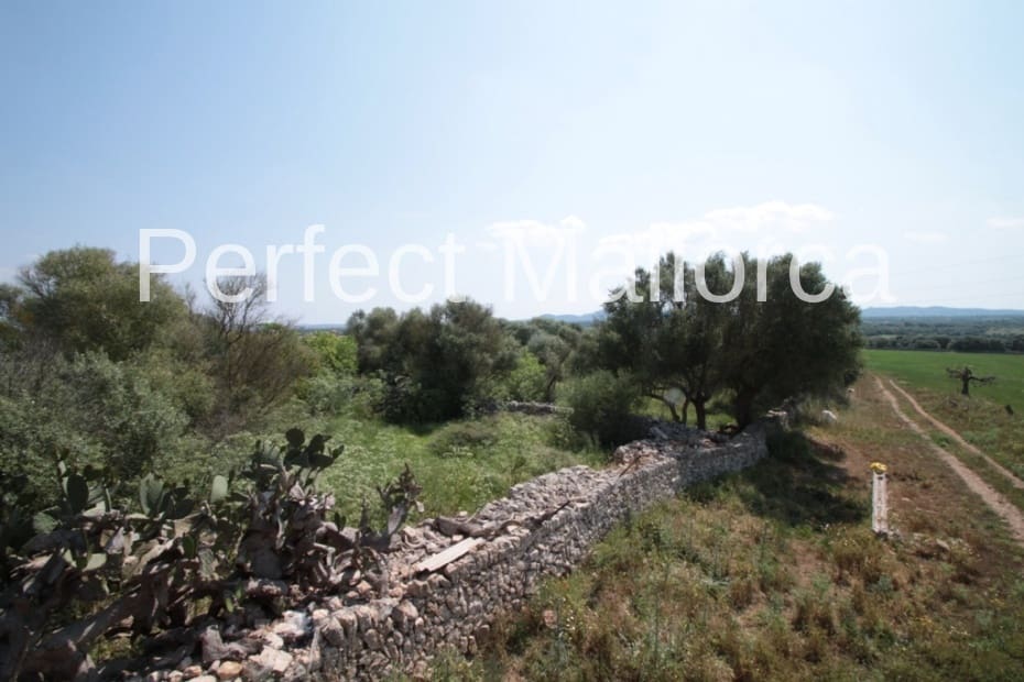 6 bedroom Finca/Country House for sale in Vilafranca de Bonany with garage - € 5,500,000 (Ref: 2059029)