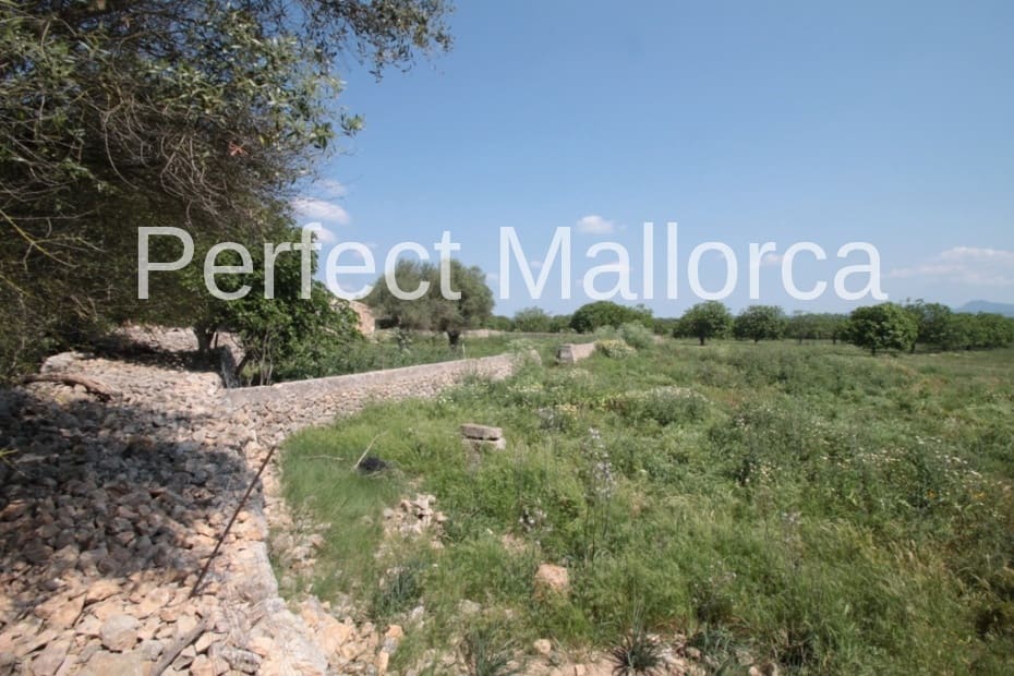 6 bedroom Finca/Country House for sale in Vilafranca de Bonany with garage - € 5,500,000 (Ref: 2059029)