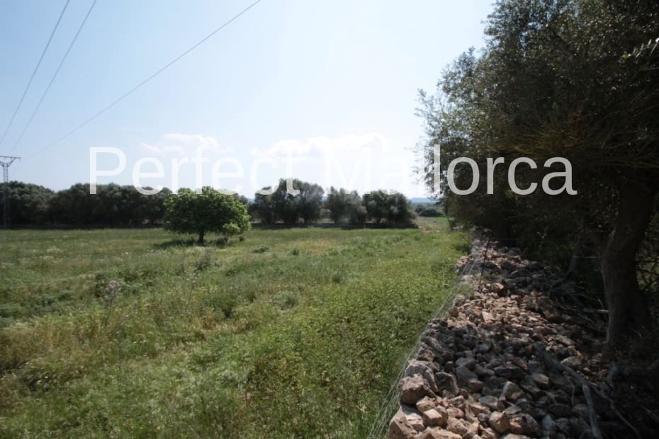 6 bedroom Finca/Country House for sale in Vilafranca de Bonany with garage - € 5,500,000 (Ref: 2059029)