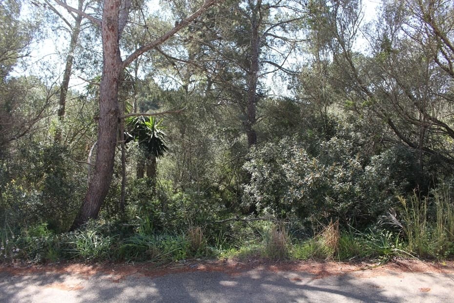 Grond te koop in Cala Murada - € 250.000 (Ref: 9783172)