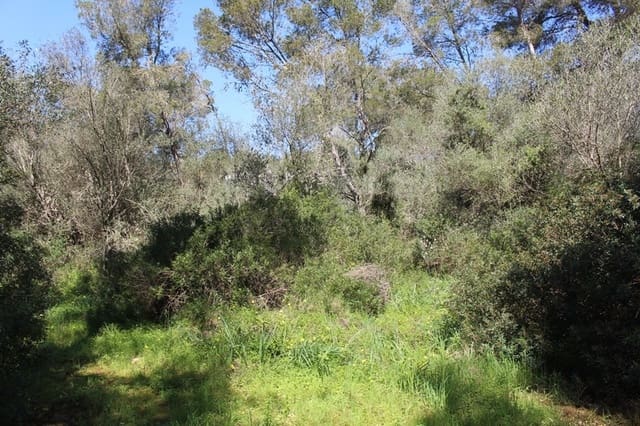 Grond te koop in Cala Murada, Manacor - € 250.000 (Ref: 9783172)