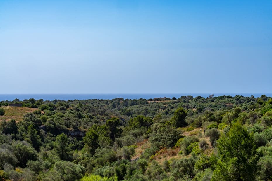 4 bedroom Finca/Country House for sale in Espinagar with pool garage - € 2,200,000 (Ref: 9935712)