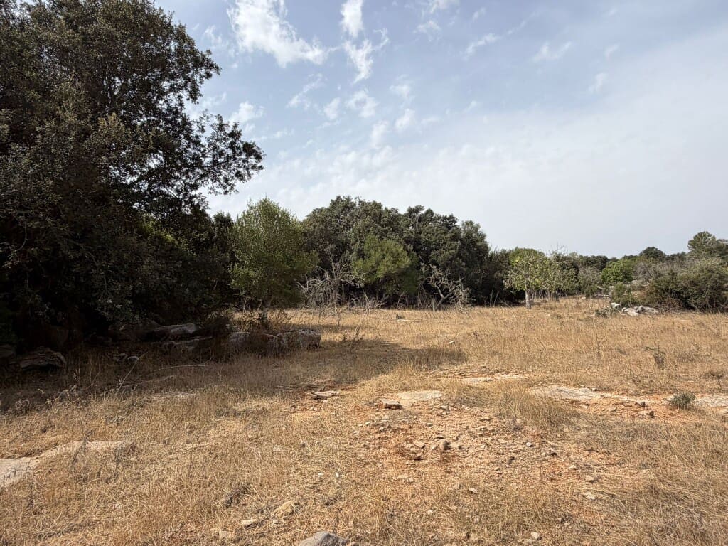 Bauplatz zu verkaufen in Son Servera - 980.000 € (Ref: 10035052)