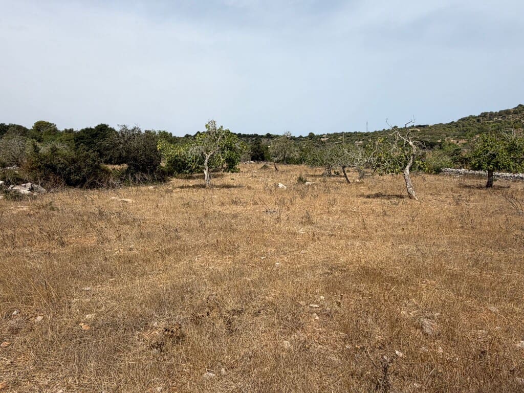 Bauplatz zu verkaufen in Son Servera - 980.000 € (Ref: 10035052)