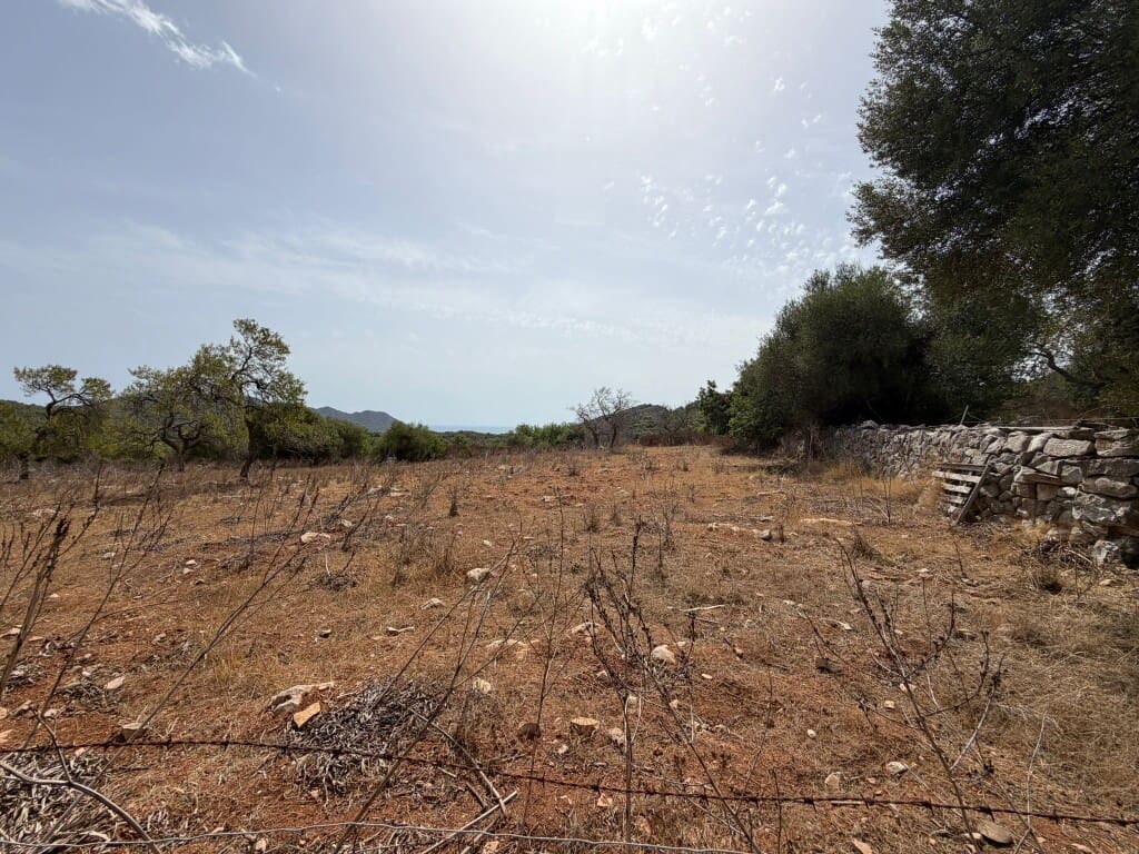 Bauplatz zu verkaufen in Son Servera - 980.000 € (Ref: 10035052)