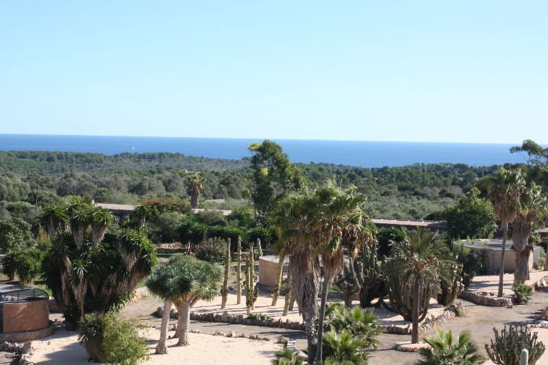 Finca/Casa Rural de 12 habitaciones en Calas de Mallorca en venta - 6.800.000 € (Ref: 10097633)