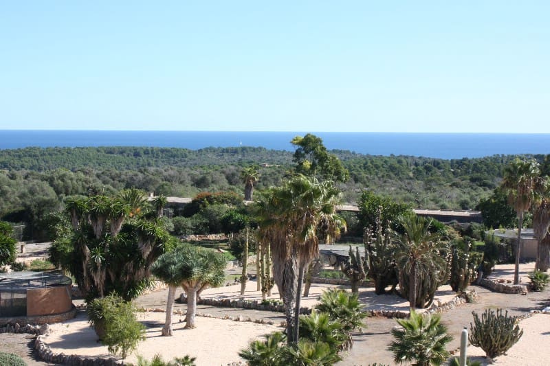 Finca/Casa Rural de 12 habitaciones en Calas de Mallorca en venta - 6.800.000 € (Ref: 10097633)
