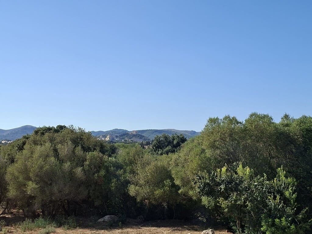 4 bedroom Finca/Country House for rent in Arta with pool - € 4,800 (Ref: 10101947)